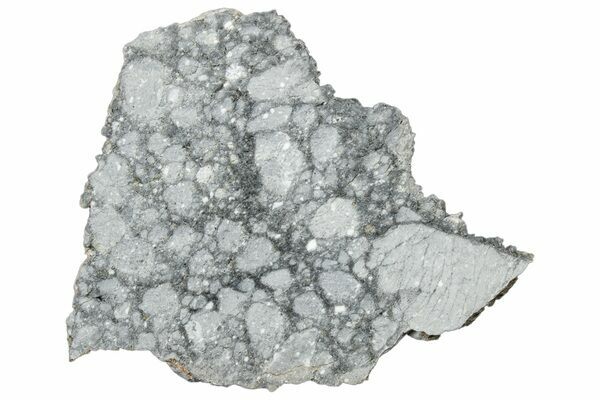 A slice of lunar meteorite known as Gadamis 004.